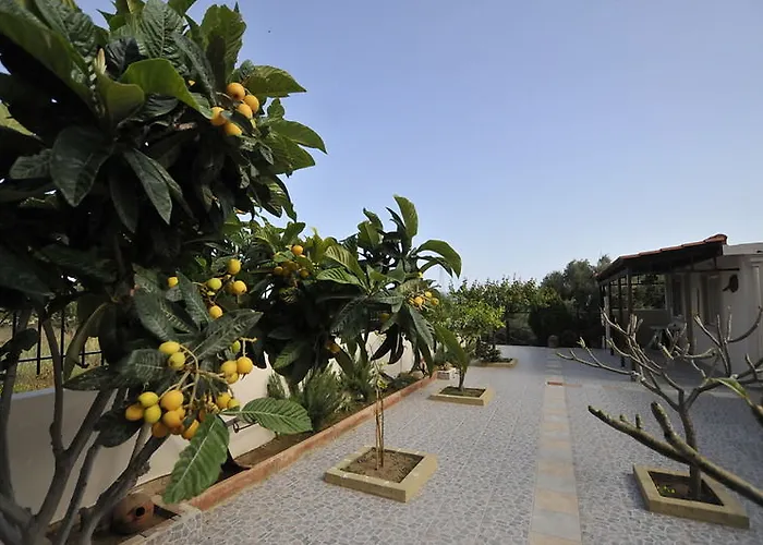 Kristi Hersonissos (Crete)