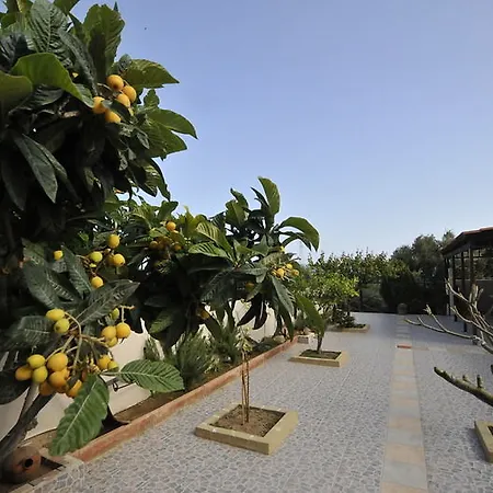 Kristi Hersonissos (Crete)